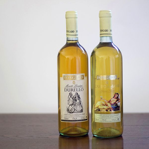 Etichette vini Fongaro